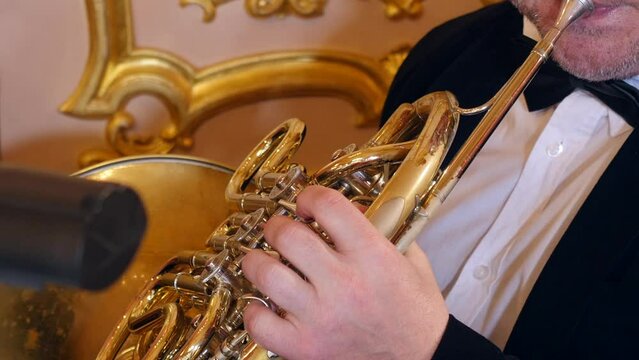 Hornist musician playing french horn in symphony orchestra, Closeup view