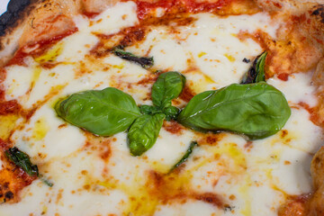 Pizza margherita