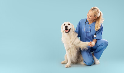 Friendly veterinary clinic. Happy nurse posing with golden retriever, embracing labrador and...