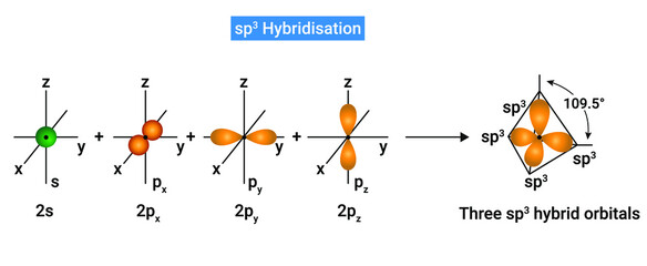 sp3 Hybridisation: One s and three p orbitals of an atom of a molecule or ion, are mixed to give  four new hybrid orbitals called as sp3 hybrid orbitals. - obrazy, fototapety, plakaty