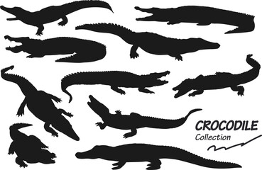 crocodile silhouettes