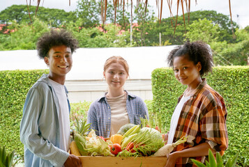 Three Children hold basket of organic fresh vegetables in green farm