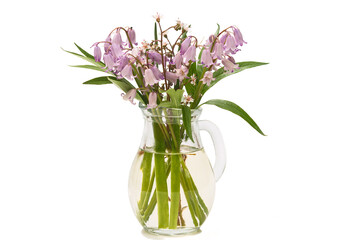 In a glass jug with water, a bouquet of flowers in pink tones on a white background.
