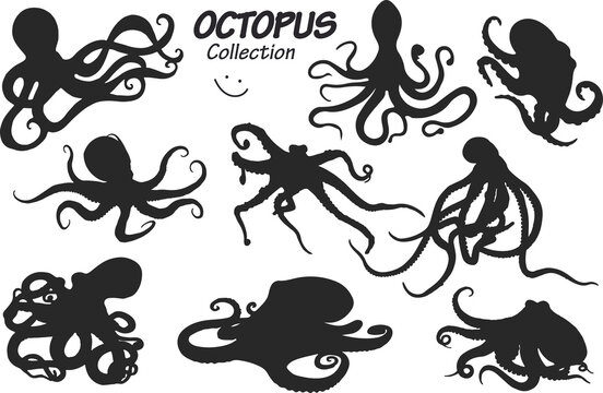 octopus silhouettes