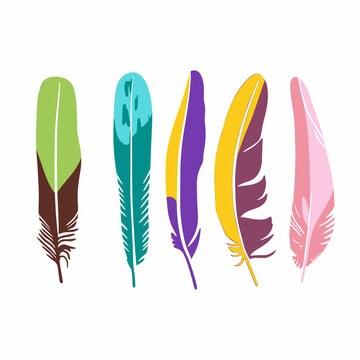 Set of multicolored feathers. Hand-drawn vector images