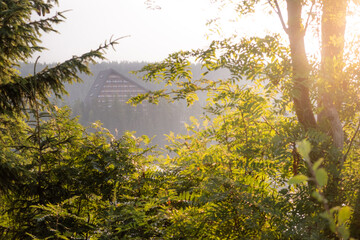 Sunrise on Strbske pleso in early hours.