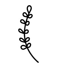 Vector branch icon. Tree branch. Contour Icon of a Tree Branch, clip art, doodle style. Hand Drawing. Floral Decorative Branch of a Plant with Leaves. Evkalipt.
