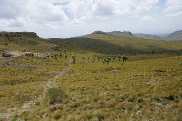 Obraz premium Scenic view of rock formations against a mountain background at Ol Doinyo Lesatima Dragons Teeth in the Aberdares, Kenya