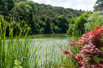 Ataturk kent ormani in Istanbul. Ataturk City Forest. Green spaces in Istanbul city. Green parks or...