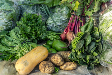 organic and freshc vegetables on the farmers market