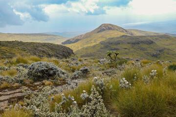 Rock formations at the Dragons Teeth, Ol Doinyo Lesatima in the Aberdares, Kenya