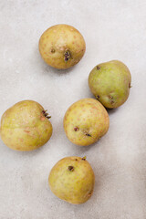 baby potatoes sprouting on grey surface with copy space 