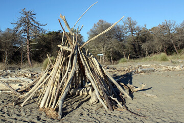 Driftwood hut on a the natural reserve beach of Alberese in Tuscany, Italy.