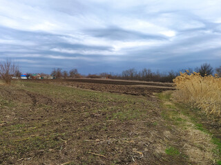 Winter agricultural field, the harvest is harvested