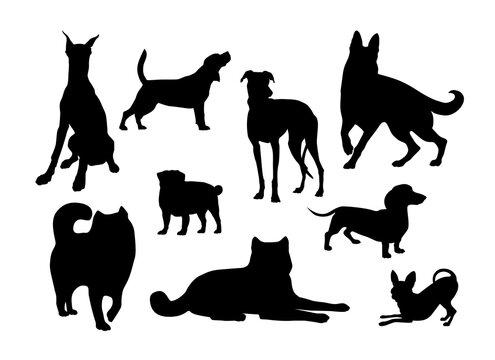 Set of silhouettes of different dog breeds.

