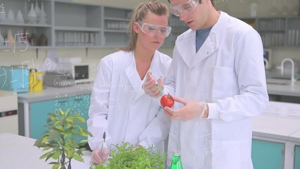 Animation of mathematical equations over caucasian scientists vaccinating tomato - Powered by Adobe