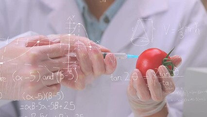 Animation of mathematical equations over caucasian scientists vaccinating tomato - Powered by Adobe