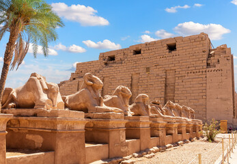 The King s Festivities Road or Avenue of Sphinxes, ram-headed statues of Karnak Temple, Luxor, Egypt