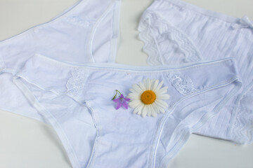 Women's underwear slips. Sanitary pads for every day with chamomile