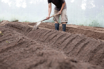 Farmer using a shovel to create a ridge to prepare grow strawberry or vegetable in greenhouse