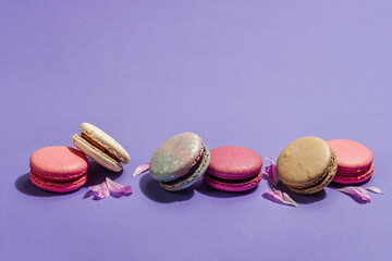Macarons with peonies flower petals on very peri color background. Sweet dessert, pastel candy color