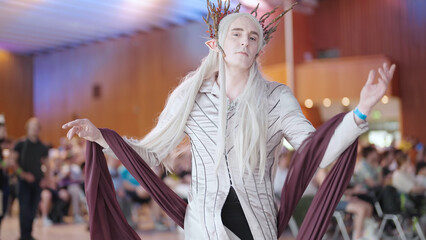 Thranduil elven king cosplay from LOTR pose for camera at comic con - obrazy, fototapety, plakaty