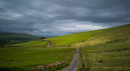 Naklejka premium Roadway through rolling hills grass farmland in the Dingle peninsula, scenic county Kerry in the Republic of Ireland.