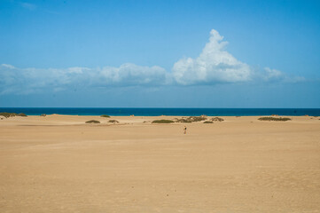Big beach, Furteventura
