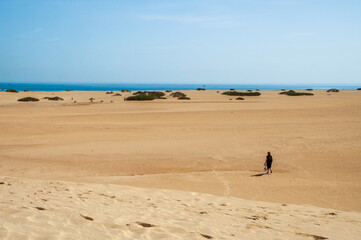 Fammi a la plage, furteventura
