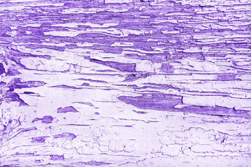 Fototapeta premium Wooden lilac background. Texture of an old shabby tree. Background for presentation