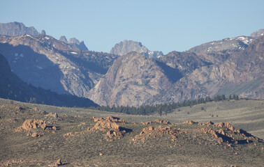 Fototapeta na wymiar Dry rocky desert mountain landscape with trees. Sunny Morning Sky. California, United States of America. Nature Background.