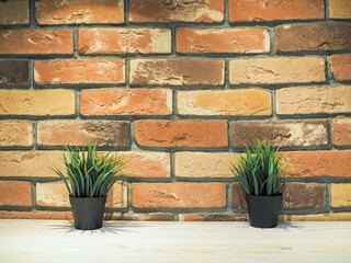 Stylish banner with space for text. Creative brick wall mocap with two plants in a pot.