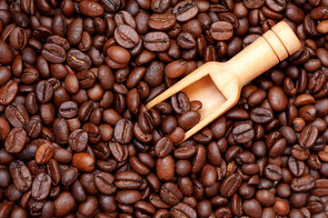 Scoop on a background of coffee beans