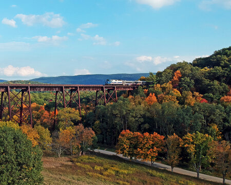 Train going over bridge in autumn