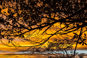 Fototapeta premium Blue and Orange Sunset