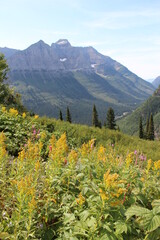 Fototapeta premium Glacier National Park, Montana