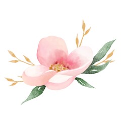 pink flower water color painting on white background.