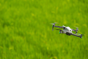 drone flying over green rice field background