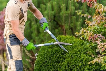 Pruning Plants with Garden Scissors