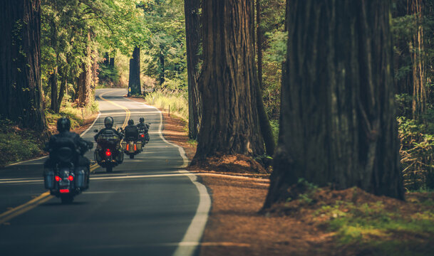 Motorcycle Group Touring Through the Redwood Highway