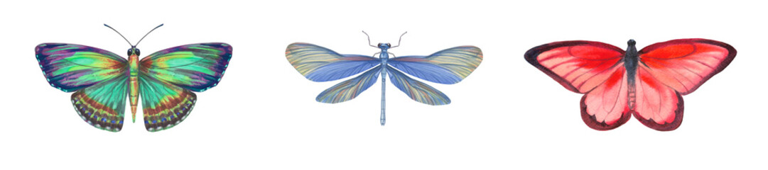 Set of bright watercolor butterflies and dragonflies isolated on white background. Insects painted in watercolor on paper for design, postcards, printing, wallpaper, wrapping paper.