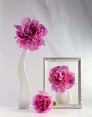 Pink peonies in a vase on a light background. Congratulations on Valentine's Day. Copy space