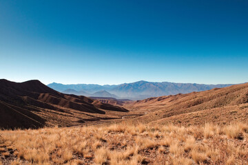 Arid grassy steppe by the Andes mountains near Tupungato, province of Mendoza, Argentina.
