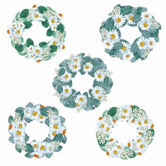 Watercolor daisy floral compositions, perfect to use on the web or in print