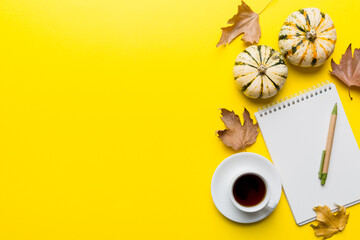 Autumn composition: fallen leaves and notebook mock up on colored background. Top view. Flat lay with copy space