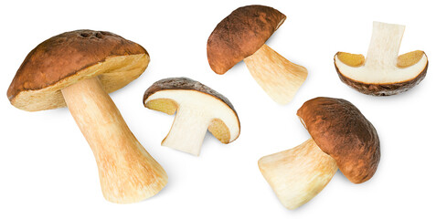 five cep isolated on white background, top view - obrazy, fototapety, plakaty