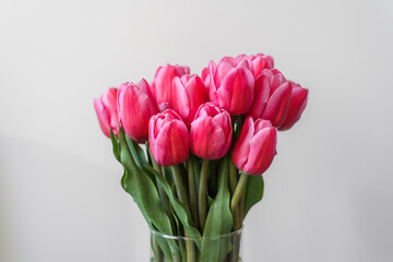 A bunch of pink tulips on a light background. Close-up. A delicate bouquet for the holiday. Spring abundance. Space for text.