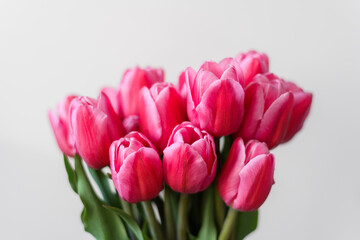 A bunch of pink tulips on a light background. Close-up. A delicate bouquet for the holiday. Spring abundance. Space for text.