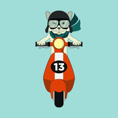 Cat with Helmet riding scooter