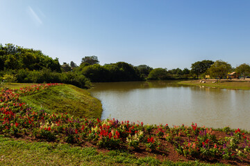 Detalhe do lago do Parque Leolídio di Ramos Caiado em Goiânia, com um canteiro de flores em uma de suas bordas.